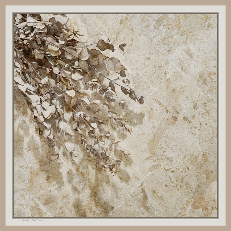 Gumleaves, Beige/Taupe