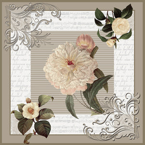 Amaryllis, Beige/White