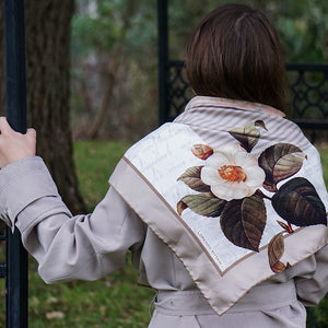 Amaryllis, Beige/White