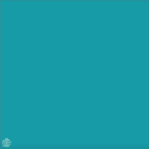 Logo Plain, Bright Aqua