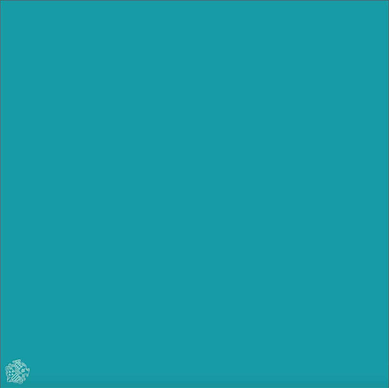 Logo Plain, Bright Aqua